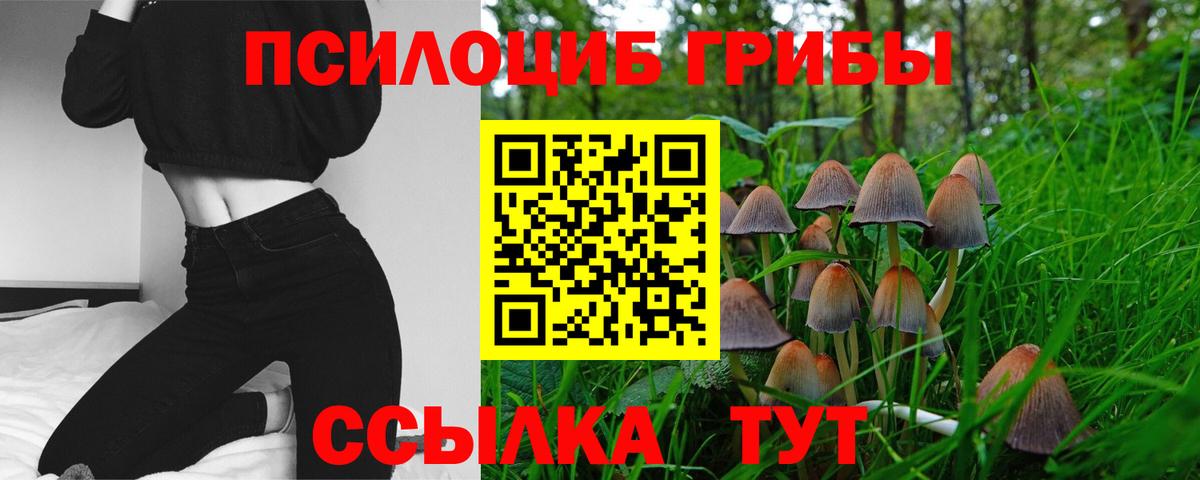 Псилоцибиновые грибы MAGIC MUSHROOMS Балтийск