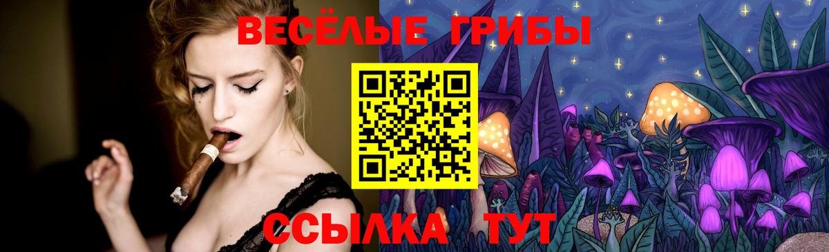 Галлюциногенные грибы мицелий  Галлюциногенные грибы ЛСД  Вход с VPN  наркота  Балтийск 